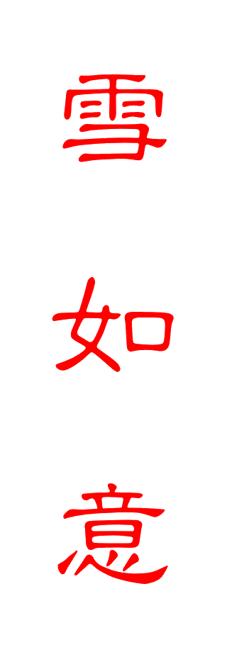 雪如意滑雪票